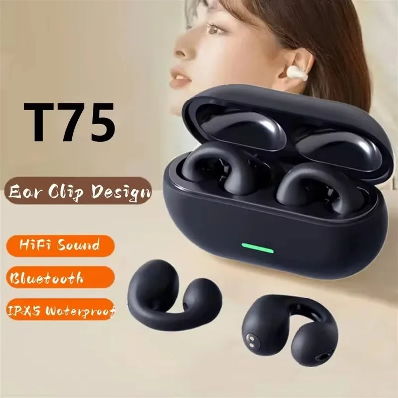 T75 Wireless Bluetooth Earbuds