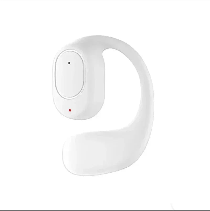 TWS earbuds with earhooks