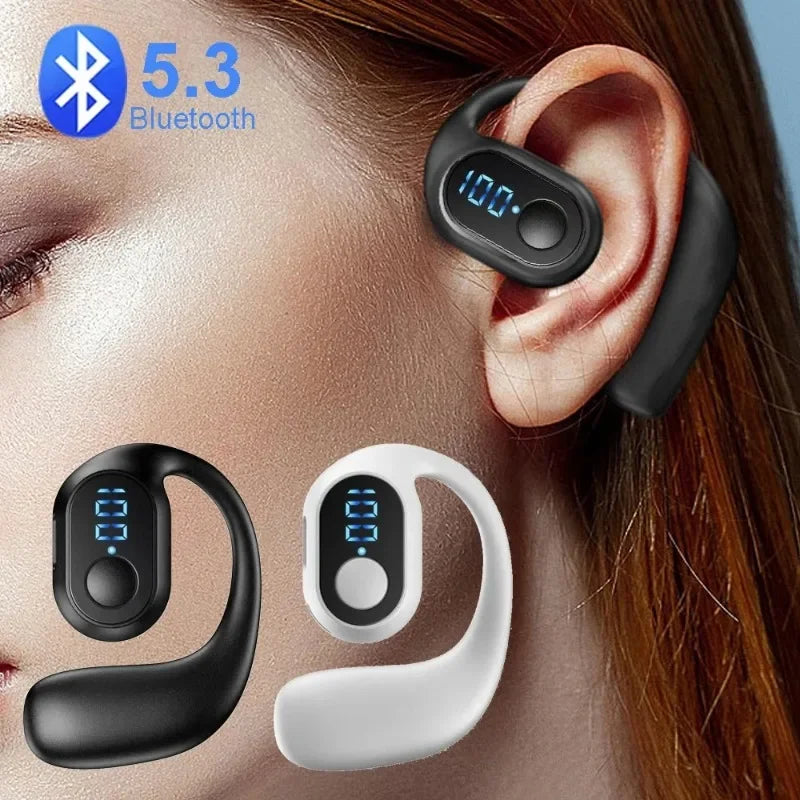TWS earbuds with earhooks